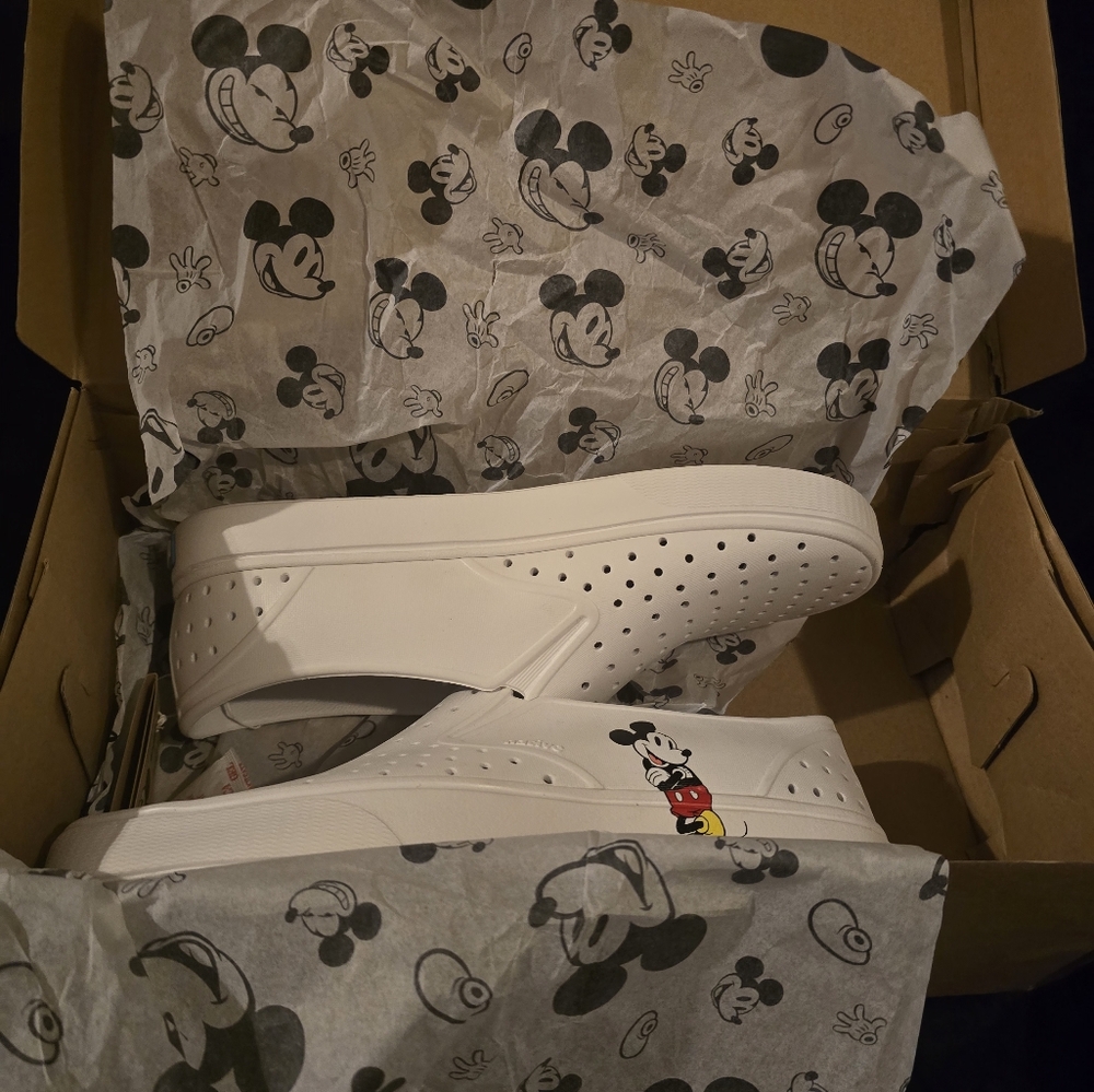 Native Disney Sneakers